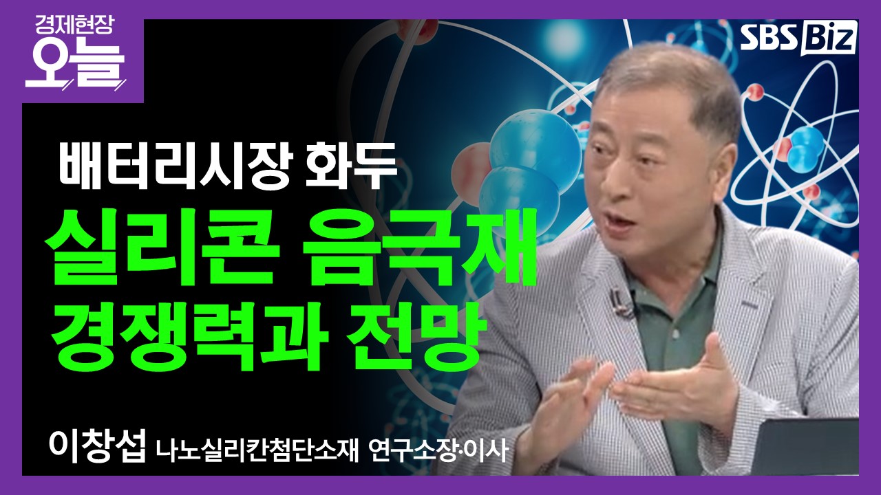 나노실리칸첨단소재(286750) 관련 이미지 3