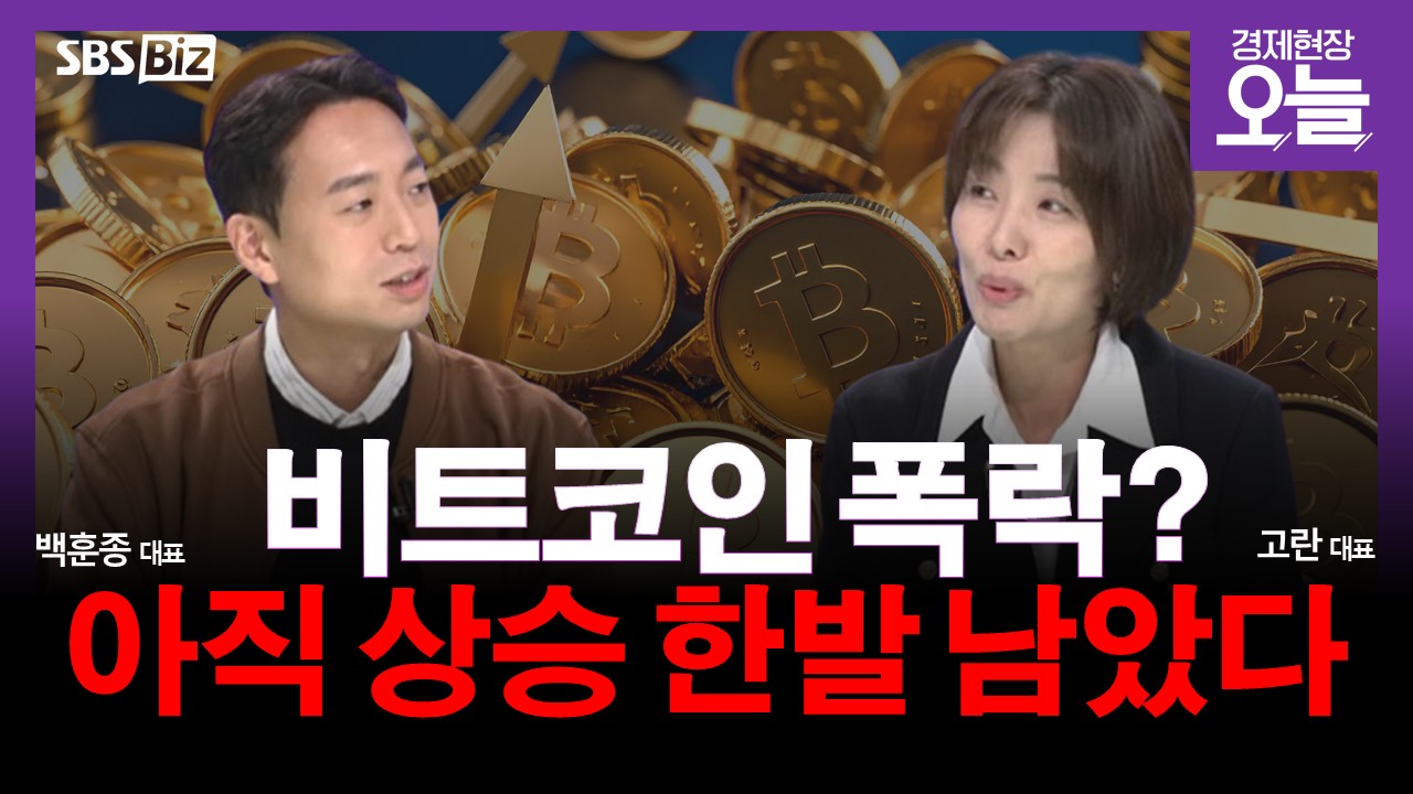 집중진단] 비트코인 강세장 비관론 재점화, 왜? - SBS Biz