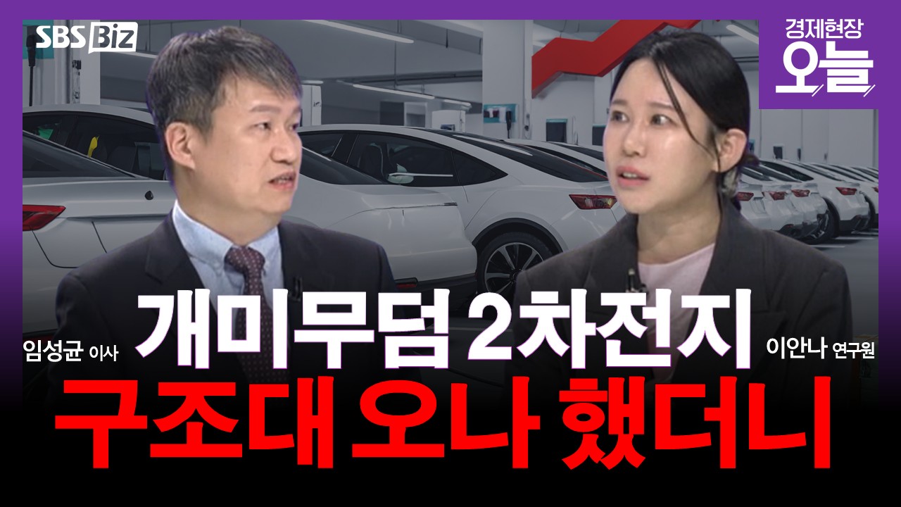 [집중진단] 에코프로 20% 반등…2차전지주 되살아날까?