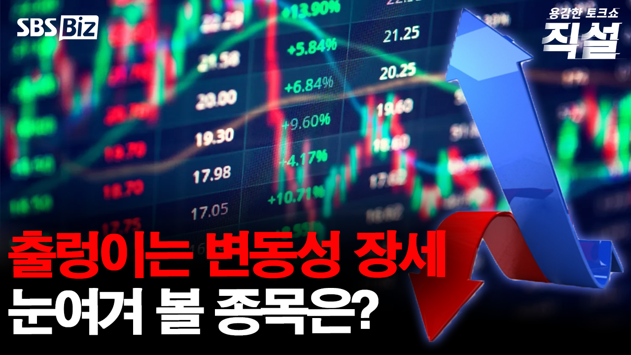 [직설] 출렁이는 등락폭에 국내증시 롤러코스터 장세...눈여겨 볼 점과 ... - 뉴스 썸네일 이미지